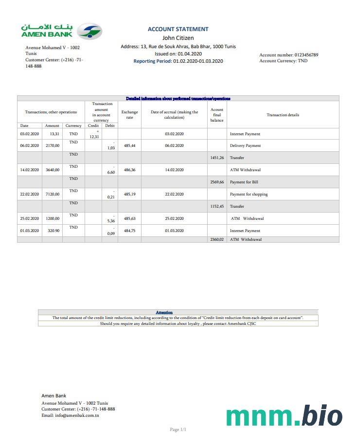 Tunezja Amen Bank szablon w formacie excel pdf